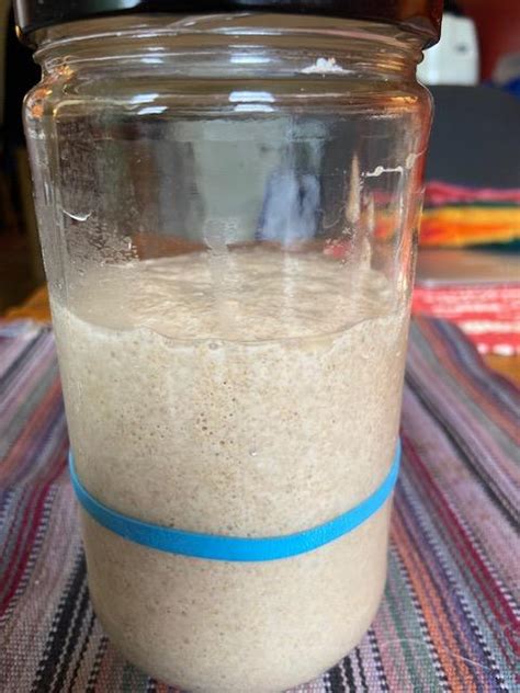 sourdough starter not floating